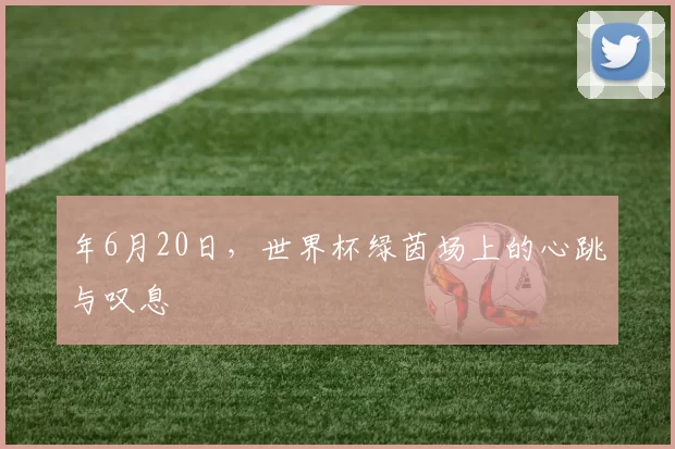 年6月20日，世界杯绿茵场上的心跳与叹息