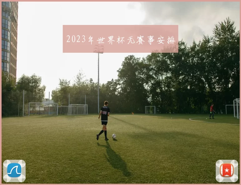2023年世界杯无赛事安排