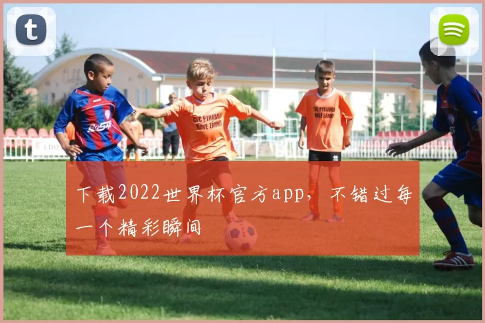 下载2022世界杯官方app，不错过每一个精彩瞬间