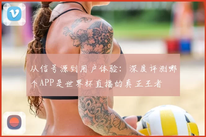 从信号源到用户体验：深度评测哪个APP是世界杯直播的真正王者