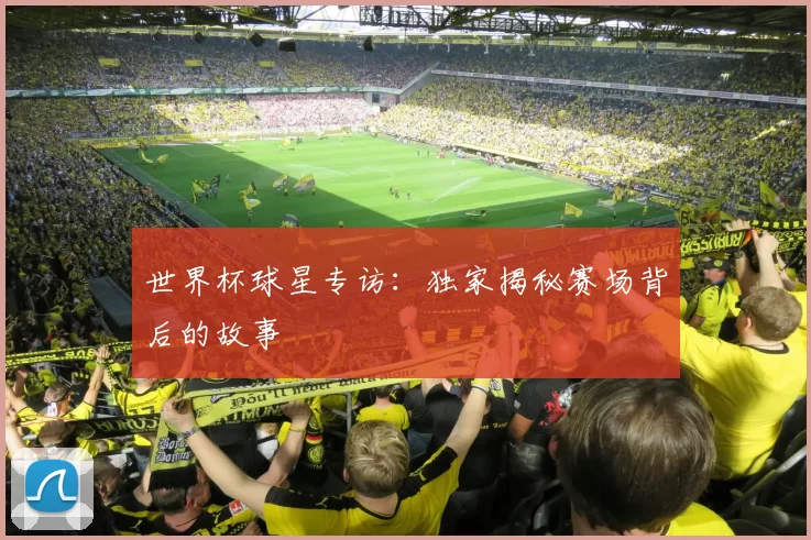 世界杯球星专访：独家揭秘赛场背后的故事