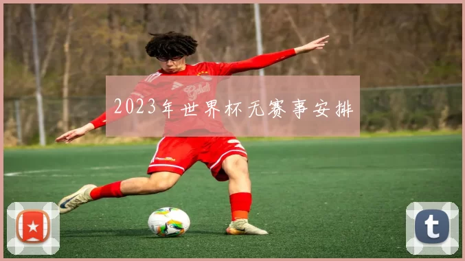 2023年世界杯无赛事安排