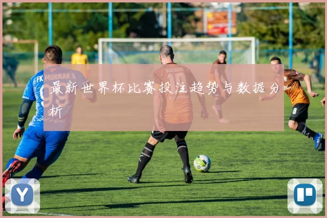 最新世界杯比赛投注趋势与数据分析