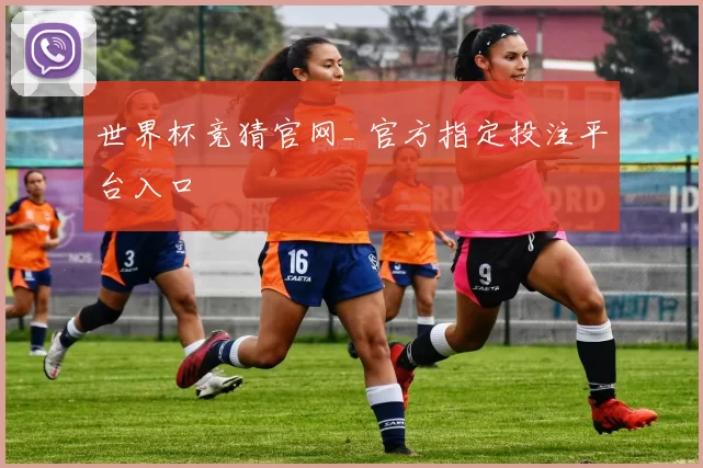 世界杯竞猜官网_ 官方指定投注平台入口