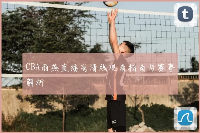 CBA雨燕直播高清线观看指南与赛事解析