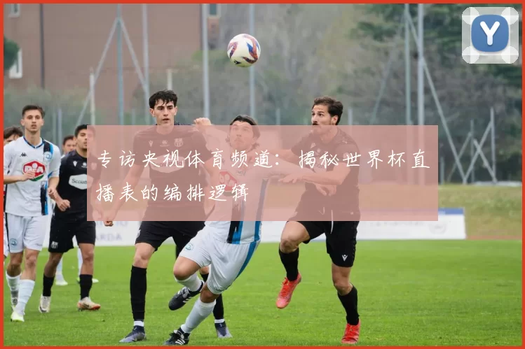专访央视体育频道：揭秘世界杯直播表的编排逻辑