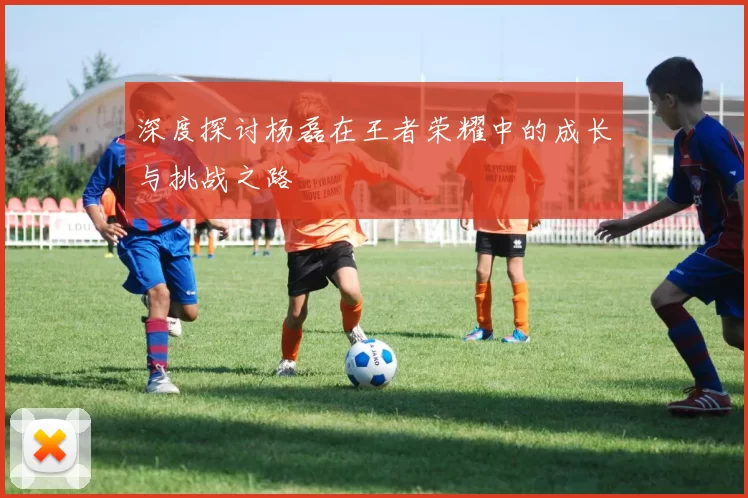 深度探讨杨磊在王者荣耀中的成长与挑战之路