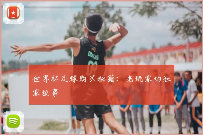 世界杯足球购买秘籍:老玩家的独家故事