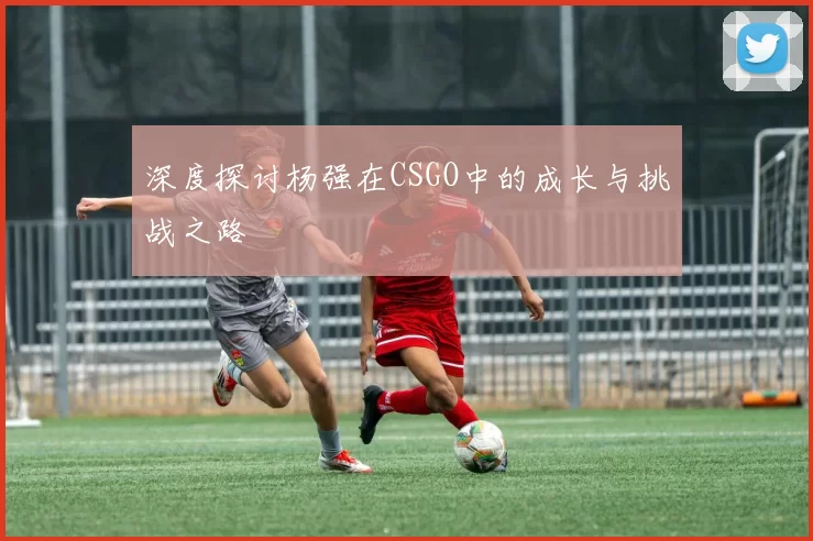 深度探讨杨强在CSGO中的成长与挑战之路